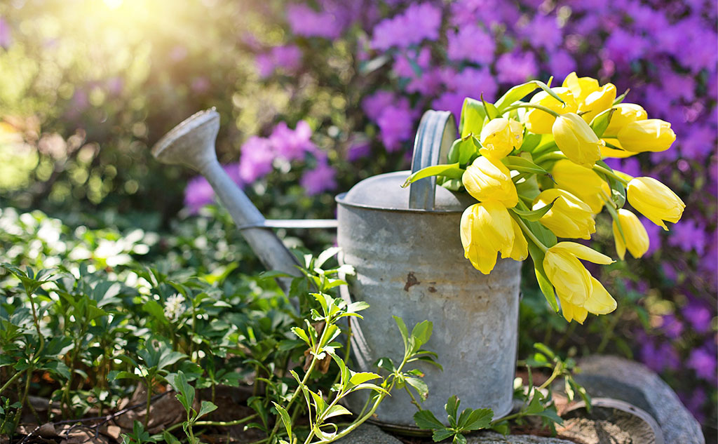 Prepara tu jardín para la primavera